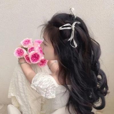 巡回检察组